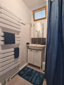 a bathroom with a sink and a mirror at Le Vivien in Romorantin