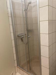 a shower with a glass door in a bathroom at Ferienwohnung Thedo in Bad Zwischenahn