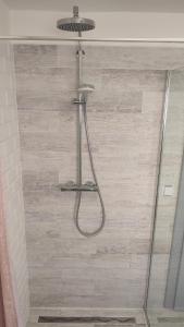 een douche met een douchekop in de badkamer bij Privat Liska in Liptovský Mikuláš