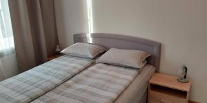 Una cama con dos almohadas encima en una habitación. en Pelguranna Apartment, en Tallin