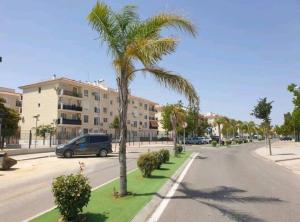 Alojamiento con piscina y parking en Sevilla في La Algaba: نخلة على جانب شارع
