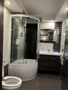 uma casa de banho com um chuveiro, um WC e um lavatório. em Apartament Mattias em Călimăneşti