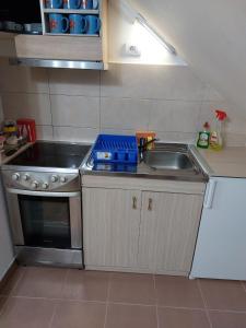 uma pequena cozinha com um lavatório e um fogão em Vila Jelena Divčibare em Divčibare