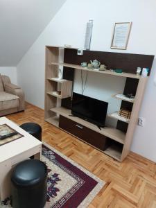 a living room with a book shelf with a television at Vila Jelena Divčibare in Divčibare