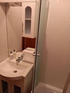 Un pequeño baño con lavabo y ducha. en Ljupki studio apartman sa kaminom, en Jahorina 2 fotos más