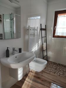 uma casa de banho branca com um lavatório e um espelho em Il Riccio del Castagno em Novaledo