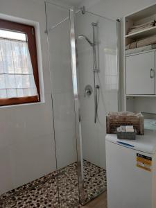 a shower with a glass door next to a sink at Il Riccio del Castagno in Novaledo