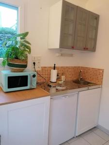 Kuchyňa alebo kuchynka v ubytovaní Maison de vacances vue mer