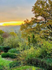 a view of a forest with the sunset in the background at Schöne Ferienwohnung mit Waldblick in Dillenburg in Dillenburg