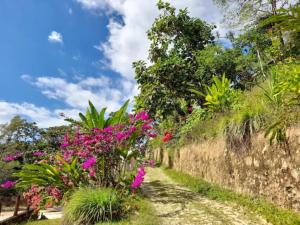 a path through a garden with pink flowers at Finca Vista Hermosa - Deluxe Bamboo Cabana in Pluma Hidalgo