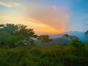 a sunset over a field with trees on a hill at Finca Vista Hermosa - Deluxe Bamboo Cabana in Pluma Hidalgo