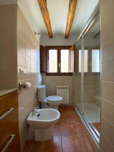 W łazience znajduje się toaleta, umywalka i prysznic. w obiekcie Dúplex Teresa w mieście Alcañiz