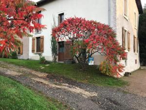 un árbol con hojas rojas delante de una casa en Eply dort 
