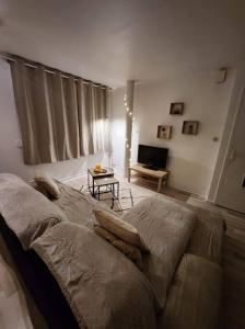 ein Wohnzimmer mit einem Sofa und einem TV in der Unterkunft Appartement cosy et chaleureux in Dunkerque