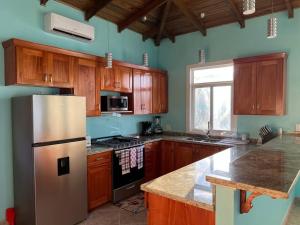 cocina con armarios de madera y nevera de acero inoxidable en Casita Azul en Bastimentos