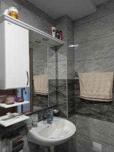 a bathroom with a sink and a glass shower at Twins Apartments in Čačak