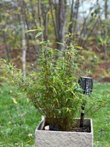 Galeriebild der Unterkunft Ferienwohnung Zur Wupper in Wipperfürth