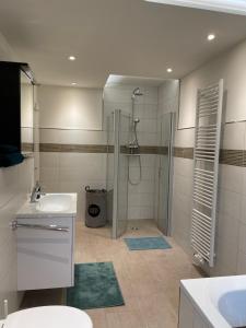 a bathroom with a shower and a toilet and a sink at Ferienwohnung Zur Wupper in Wipperfürth