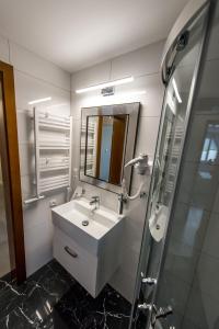 een badkamer met een wastafel en een spiegel bij Apartament Wilaneska in Krynica Zdrój