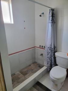 a white toilet sitting next to a bath tub in a bathroom at Wizzy Apartment in Ocho Rios