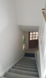 a stairway with a potted plant on top of it at Homely Home in Buckinghamshire