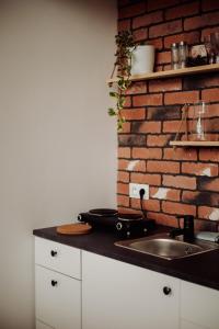 a kitchen with a sink and a brick wall at Osada Przejrzysko in Jordanów