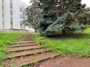 un conjunto de escalones en el césped junto a un edificio en Le Micropolis en Besançon