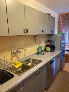 Kuchyň nebo kuchyňský kout v ubytování Airport Sarajevo Apartment 1