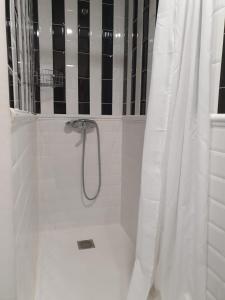 ログローニョにあるPrecioso Apartamento Casco Antiguoのバスルーム(シャワー、シャワーカーテン付)