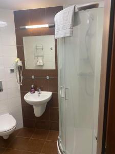 コウォブジェクにあるArka Medical Spa Apartament 729のバスルーム(シャワー、トイレ、シンク付)