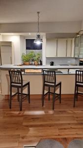 a kitchen with two chairs and a table and a counter at Noclegi Czentorycki 1 in Tyniec nad Ślęzą +19 photos