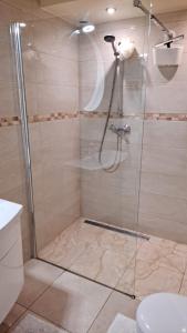 a shower with a glass door in a bathroom at Noclegi Czentorycki 1 in Tyniec nad Ślęzą