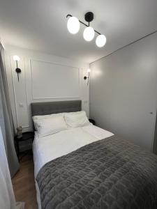 een slaapkamer met een groot bed met 2 kussens bij Igart Studio in Leszno