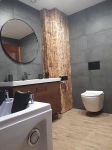 La salle de bains est pourvue d'un lavabo, de toilettes et d'un miroir. dans l'établissement Browarna 14 jacuzzi, prestige, à Racibórz