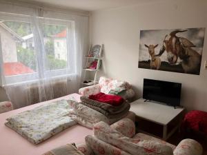 Φωτογραφία από το άλμπουμ του 3 Mäderlhaus σε Rotenbach