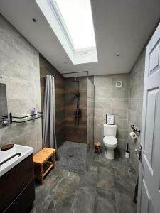 a bathroom with a shower and a toilet and a sink at Wild Wild West Holiday Cottages in Castletownbere