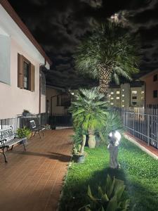 posąg kota na podwórku z palmą w obiekcie Villa Antonella w mieście Pozzilli +24 zdjęcia