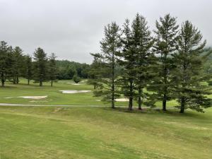 an overhead view of a golf course with trees at Mt Mitchell Cabin Rentals in Busick