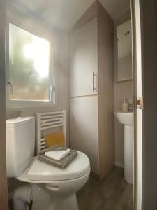 ein Badezimmer mit einem weißen WC und einem Waschbecken in der Unterkunft Coghurst Hall Holiday Home Sleeps 6, 2 bedrooms in Hastings