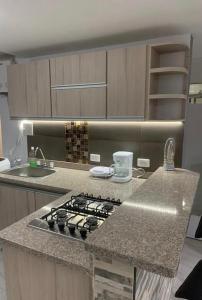 A kitchen or kitchenette at Apartamento ubicación CENTRAL,cómodo y acogedor