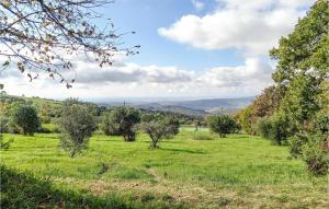 a field of grass with trees and hills in the background at Cozy Apartment In Castellina Marittima in Castellina Marittima