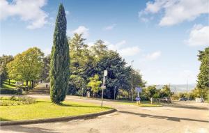 a tall tree on the side of a road at Cozy Apartment In Castellina Marittima in Castellina Marittima