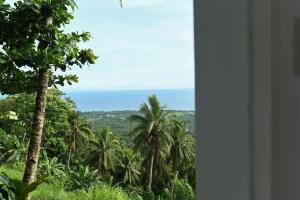 The balcony of the camiguin island في مامباجاو: إطلالة على المحيط من غرفة بها أشجار نخيل