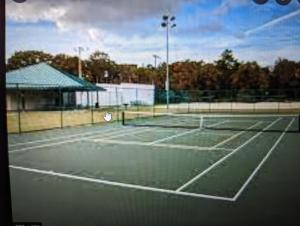 a tennis court with a tennis racket on it at Private Residence Manatee Watch Den 3beds in Crystal River