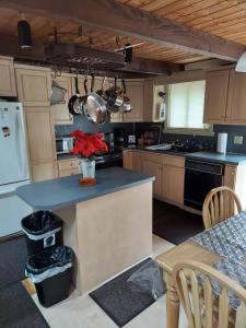 Kuchyň nebo kuchyňský kout v ubytování Cozy Chalet Free Wi-Fi, and Grill