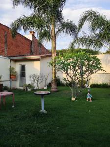 a child in a yard with a table and a palm tree at Espacin Maricris-28 min. Thermas Sao Pedro in Piracicaba