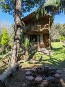 una baita di tronchi con un albero e un braciere di CABAÑAS LOS LAURELES a Huasca de Ocampo