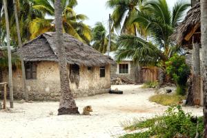 a house with a palm tree and a dog in front of it at Jambo Jambiani Beach Villa, Beautiful private villa at 2 minutes from the Beach in Jambiani