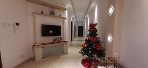 Sala de estar con árbol de Navidad y TV en Joecen Apartment, en Marsaskala