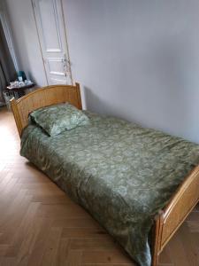 łóżko z zieloną kołdrą w pokoju w obiekcie Maison de Maître - chambre chez particulier w mieście Landéan +1 zdjęcie